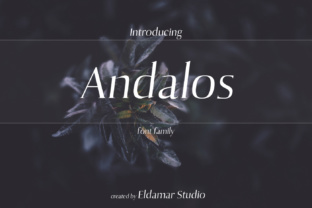 Andolas: A Timeless Display Font for Brand-Focused Web Design