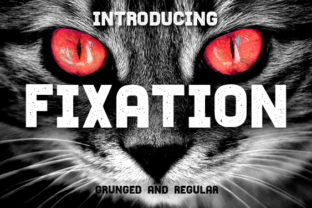 Choosing Fixation: A Designer's Perspective on a Versatile Display Font