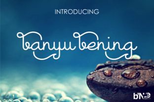 Crafting Editorial Mood with Banyu Bening: A Display Font Review