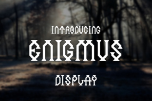 Enigmus: A Display Font Designed for Campaign Impact