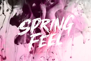 My Practical Review of the Springfeel Font for Business Branding