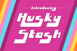Testing Husky Stash in Editorial Layouts