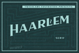 Transform Your Brand with Haarlem Serif Font